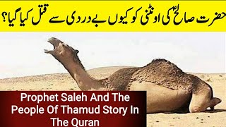 Hazrat Saleh AS Story in Urdu  Qissa  waqia  Prophet Salih [upl. by Aitnas]