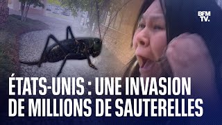 ÉtatsUnis une invasion de millions de sauterelles submerge une ville du Nevada [upl. by Meehan]