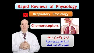 Physiology ReviewsRespiration Chemical regulation of respiration chemoreceptors [upl. by Stiles]