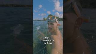 Hawaii Snorkeling  Sharks Cove  snorkeling hawaii snorkelingadventure [upl. by Ela]