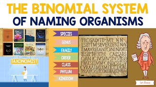 Binomial System of Naming Organisms  Biology Animation [upl. by Jessey]