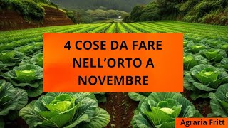 Cosa fare nellorto a novembre 🥦 [upl. by Sedgewick948]