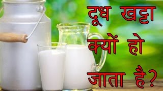 दूध खट्टा क्यों हो जाता है Why does Milk become Sour [upl. by Eladroc]