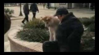 HachikoA Dogs Story2010Dvdrip8mp4 [upl. by Meletius]