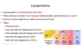 Lipids Classification  Lecture 7c [upl. by Asiilanna855]