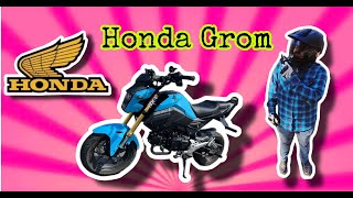 2020 Honda grom How does it compare to a Z125 [upl. by Uzziel1]