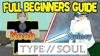 Ts Type Soul Full Quincy Beginners Noob to pro guide [upl. by Aretina]