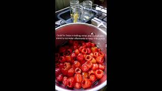 Peppadew Recipe [upl. by Lauzon]