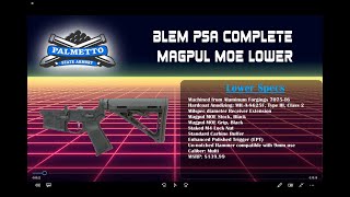 BLEM PSA Magpul MOE EPT Lower Unboxing and Review [upl. by Zacks]