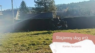 koniec leczenia stajenny vlog 17 [upl. by Islek198]