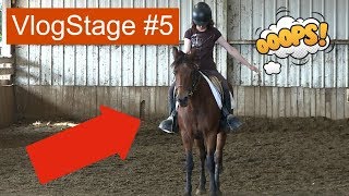 ☀ VlogStage n°5  Je passe mon galop 4 sur la mauvaise épreuve [upl. by Pellegrini294]