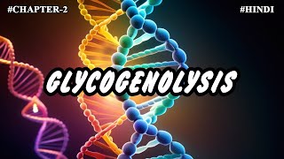 Chapter 2  Metabolism Of Carbohydrates Part7  Glycogenolysis [upl. by Heger982]