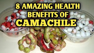 YOU WILL NOT IGNORE THIS FRUIT TREE AFTER YOU WATCH THISHEALTH BENEFITS OF CAMACHILE [upl. by Ynnavoig]