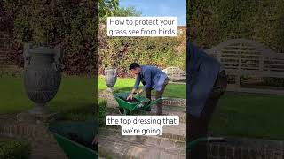 Head gardener from Sissinghurst has a trick to protect your grass seed lawn grass gardener [upl. by Ardnohsal]