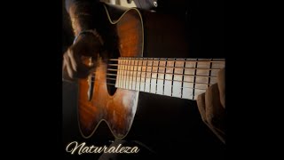 Naturaleza fingerstyle guitar [upl. by Atikir]