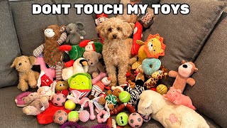 Throwing Away My Dogs Toys [upl. by Monk633]