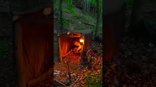 bushcraft build camp camping survival shelter wildlife skills lifehacks forest [upl. by Zsa Zsa164]