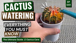 How and When to Water a Cactus  Cactus Care Ep 01 [upl. by Teague]