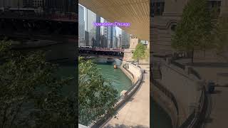 Downtown Chicago riverwalk museum icecream shorts viralshorts pink flowers summer tourist [upl. by Ardnahcal364]