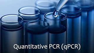 Quantitative Polymerase Chain Reaction qPCR [upl. by Llirrehs]