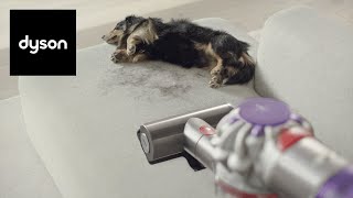 The new Dyson V8™ cordless vacuum Powerful and low noise [upl. by Yelwah215]