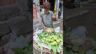 Spicy Guava Chaat Seller  Healthy Street Food of Pakistan 😍 streetfood shorts [upl. by Annhoj]