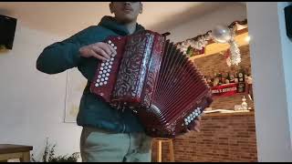 Vira de Coimbra  concertina Pedrosini [upl. by Belloir93]