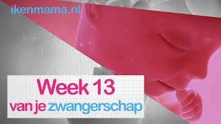 13 weken zwanger  ikenmamanl [upl. by Grimbly]