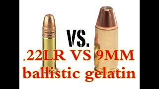 22 LR VS 9mm เทียบอานุภาพกระสุน [upl. by Aicilec]