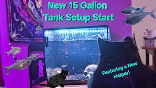 Starting Again  Relaxing Aquarium 15 Gallon [upl. by Erle]