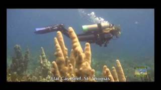 Senator ShawnMichael Malone SCUBA Dive [upl. by Ecirtemed]