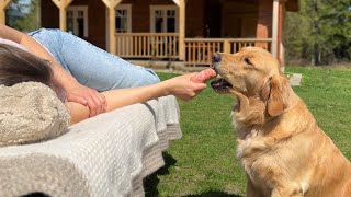 Pretending To Sleep In Front Of My Dog With Food In My Hand [upl. by Lahcym]