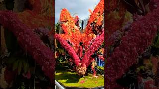 Explore the Worlds Most Beautiful Flower Parades  beautiful flowers 🌺🌸🌺🌻🌹🌷2024 [upl. by Acie]