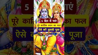 देवउठनी एकादशी से कार्तिक पूर्णिमा तक ऐसे करें तुलसी पूजा 🪔 Dev Uthani Ekadashi 2024 [upl. by Tiemroth419]