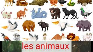 les animaux sauvages et domestiques [upl. by Leona]