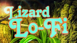 quotLizard LoFi E2 Return of the Tonyquot Music to relax to set to an anole vivarium background [upl. by Menedez950]