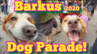 Barkus 2020  Dog Parade French Quarter New Orleans [upl. by Ecnahoy]