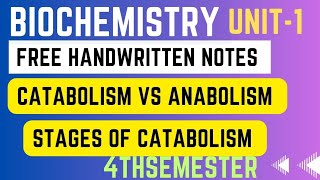 Overview of metabolism ll catabolism vs anabolism ll stages of catabolism ll anabolism ll catabolism [upl. by Tiphane]