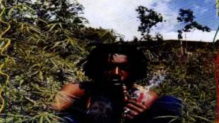 Peter Tosh  Igziabeher Let Jah Be Praised With Lyrics [upl. by Haimirej540]