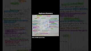 nephrons summary biology exctreatorysystem pcmbguy pcmbnotes [upl. by Ecnerrat553]