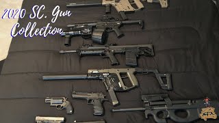 2020 Gun Collection [upl. by Niknar]