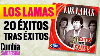 Los Lamas  20 Exitos tras exitos  Cd Completo enganchados [upl. by Notsirb]