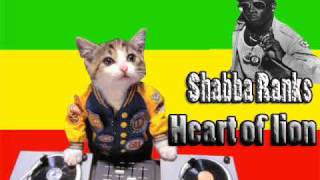 shabba Ranks  Heart of a lion [upl. by Kalila]