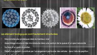 CYTOLOGIE introduction au module de cytologie [upl. by Alboran282]