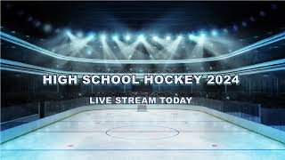 Chanhassen vs Eastview High School Hockey LIVE 2024 [upl. by Clementius]