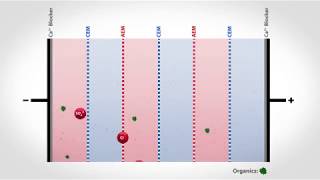 Electrodialysis Reversal to Treat Organic Wastewater  Flex EDR Organix [upl. by Edniya]