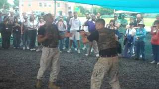 Marines Demonstrate Martial Arts MCMAP [upl. by Intihw628]