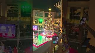 Tree Lighting at Venice Grand Canal Mall [upl. by Annoed]