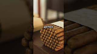 How a Premium Humidor Can Transform Your Cigar Experience [upl. by Aleedis928]