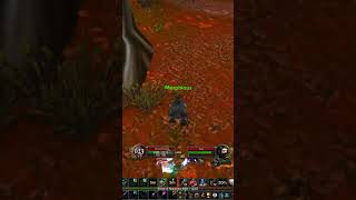 ⚡️BEST OPPONENT I have had in a long time wowclassic worldofwarcraft classicera gaming pvp [upl. by Ellinger898]